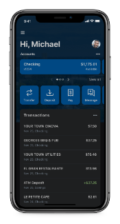 OLB dashboard on iPhone